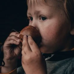 øyo Øyo Trækop 2 Cl.